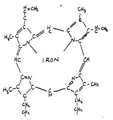 formula de la hemoglobina