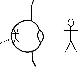 visión ojo normal