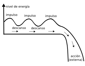 formación de la conciencia