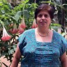 http://198.57.247.193/~rodamm