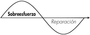 diagrama de las dos fases de la enfermedad